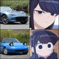 736x736