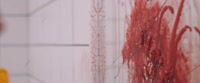 1920x800