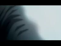 320x240