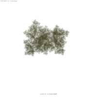 1500x1500
