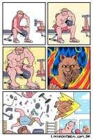 500x747