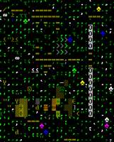 224x277