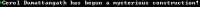 781x29