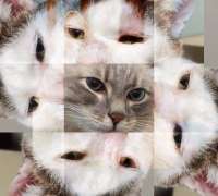 524x474