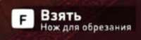 558x160