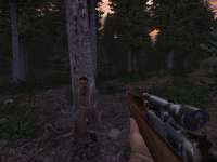 604x453