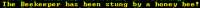 446x20