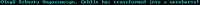 540x15