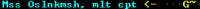 248x12