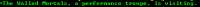 443x17