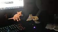 400x224