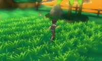 300x180