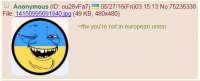 483x196