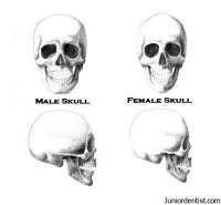 486x451