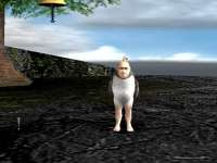 640x480