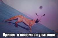 960x639
