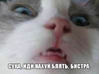 500x373