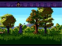 641x480