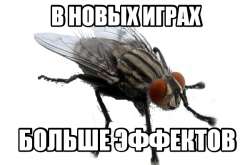 600x396