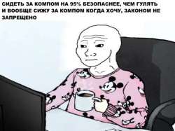 604x453