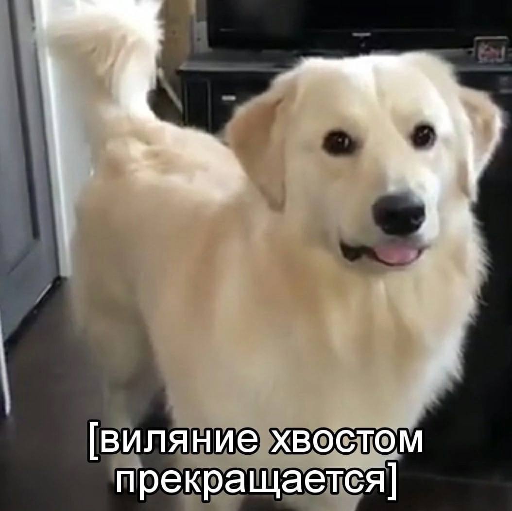 1054x1053