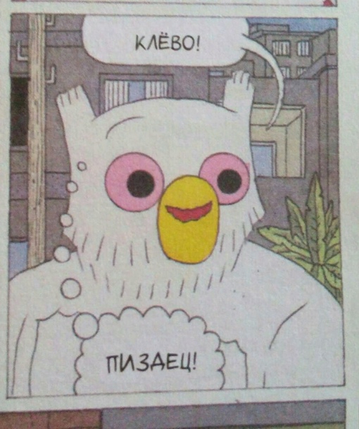 510x609