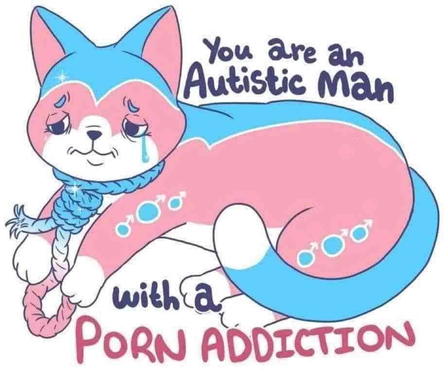915x763