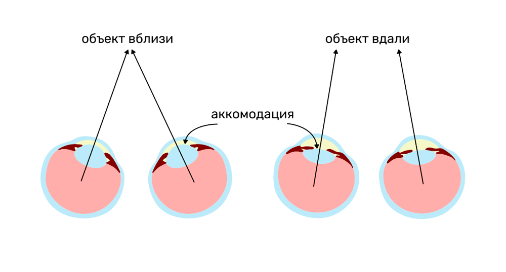 1000x538