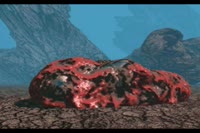540x360