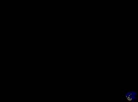542x400