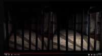 1320x735