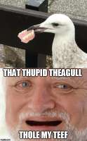 500x806