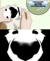 823x1009