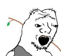 485x443