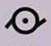300x275