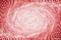 500x334