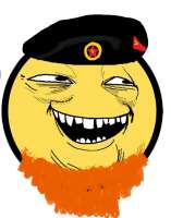 528x669