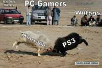 640x427