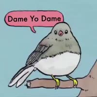 360x360