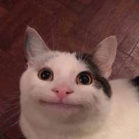 900x900