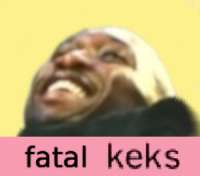 300x264