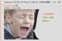 442x296