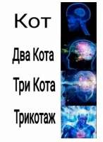 338x463