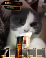 288x360