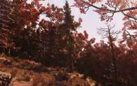 1280x800