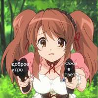 1004x1004