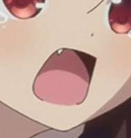 314x331