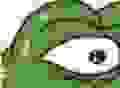 120x88