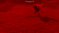 460x258