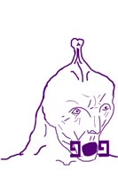 400x600